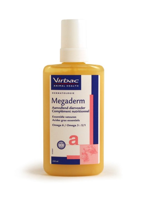 Megaderm