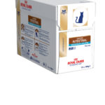 Gastro Intestinal Moderate Calorie 12 x 100 g