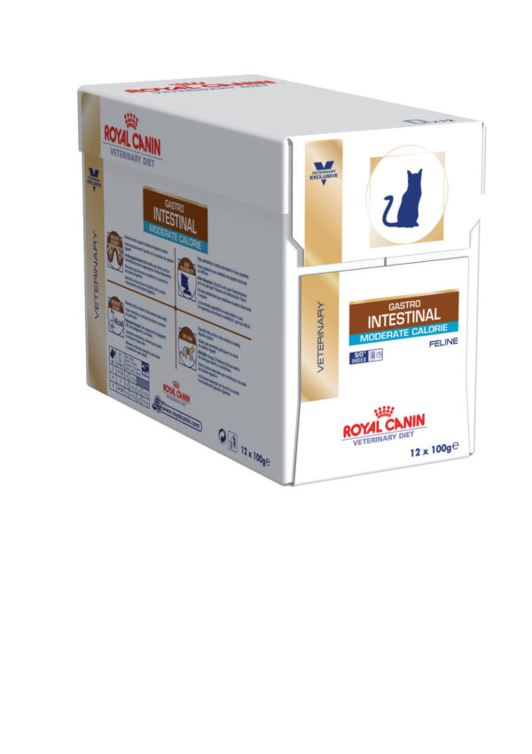 Gastro Intestinal Moderate Calorie 12 x 100 g