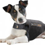 Thundershirt Dog