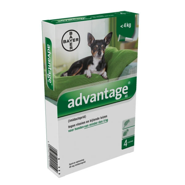 Advantage Hond
